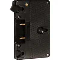 Shape Gold Mount Lock Plate Picture