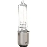 Smith-Victor ESR 100W Modeling Picture