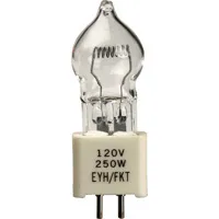 Smith-Victor EYH Quartz 2-Pin  Picture