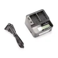 Sony AC-VQV10 Dual Battery / C Picture