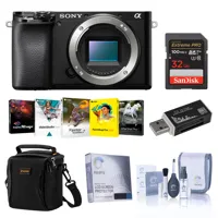 Sony Alpha a6100 Mirrorless Ca Picture