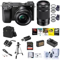 Sony Alpha a6100 Mirrorless Di Picture