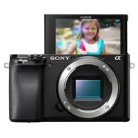 Sony Alpha a6100 Mirrorless Ca Picture