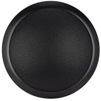 SoundTube Grille with Weather  Picture