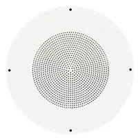 SoundTube Grille for RF41-20 S Picture
