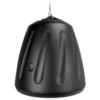 SoundTube HP129A 12" Hanging S Picture