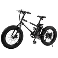 Swagtron EB-6 Youth Fat E-Bike Picture
