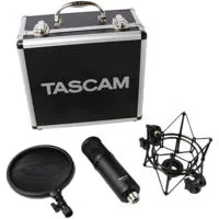 Tascam TM-280 Studio Microphon Picture