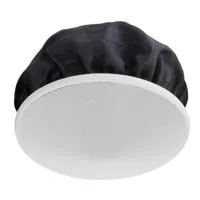 TOA Electronics 6W Co-axial Ce Picture