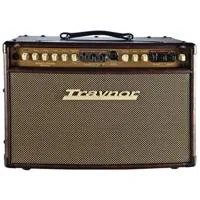 Traynor AM Standard 150W Stere Picture