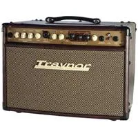 Traynor AM Studio 65W 1x8" Aco Picture