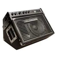 Traynor DW10 10" 200W Ultra-Co Picture
