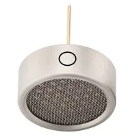 Warm Audio WA-84 Omnidirection Picture