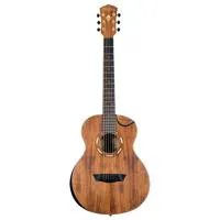 Washburn Comfort Series WCGM55 Picture