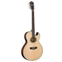 Washburn Festival Series EA20S Picture