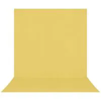 Westcott 8x13' X-Drop Pro Wrin Picture
