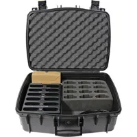 Williams Sound 12-Bay Drop-in  Picture