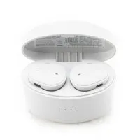 Yamaha TW-E5B True Wireless Ea Picture