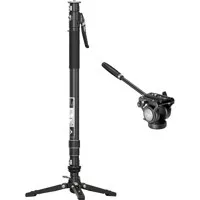 Adorama YC Onion Pineta Pro Ca Picture