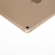 Apple iPad Mini 4 Wi-Fi: Picture 1 thumbnail