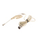 BEV4C-AT Earset Mic with Replaceable Cab...: Picture 1 thumbnail
