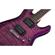 Schecter C-6 Plus: Picture 1 thumbnail