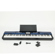 Casio PX-560: Picture 4 thumbnail