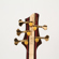 Ibanez BTB1825: Picture 3 thumbnail