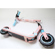 Segway eKickscooter ZING E8: Picture 3 thumbnail