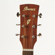 Ibanez Performance PF12MHCE: Picture 1 thumbnail
