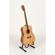 Washburn Harvest D7S: Picture 5 thumbnail