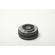 Olympus 14-42mm EZ: Picture 6 thumbnail
