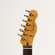 Fender American Pro II Tele: Picture 1 thumbnail