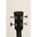 Ibanez PCBE14M: Picture 1 thumbnail