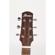 Ibanez AAD100: Picture 2 thumbnail