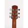 Ibanez AAD100: Picture 4 thumbnail