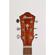 Ibanez AEG70: Picture 1 thumbnail