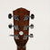 Fender CC-60S: Picture 2 thumbnail