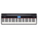 Roland GO:Piano: Picture 5 thumbnail