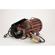 Mole-Richardson Baby 1000 Watt Solarspot...: Picture 4 thumbnail