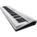 Roland GO:Piano: Picture 6 thumbnail