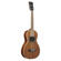 Ibanez PN1MH: Picture 1 thumbnail