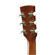 Ibanez PN1MH: Picture 2 thumbnail