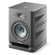 Focal Alpha 50 EVO: Picture 5 thumbnail