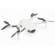 DJI Mini 2 Aerial Camera Bundle - SKU#16...: Picture 1 thumbnail
