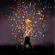 CHAUVET DJ Funfetti Shot: Picture 5 thumbnail