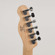 Squier Affinity Telecaster: Picture 4 thumbnail