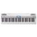 Roland GO:Piano: Picture 2 thumbnail