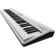 Roland GO:Piano: Picture 1 thumbnail