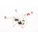 DJI Phantom 2 Quadcopter: Picture 1 thumbnail